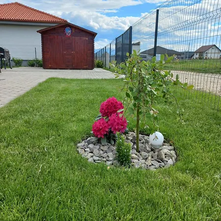 Casa Capra Neagra 別荘 ブラショフ